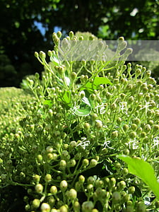 欠信用卡上門電話私人號碼是真的嗎，真相揭示：欠信用卡上門電話私人號碼是否真實存在？